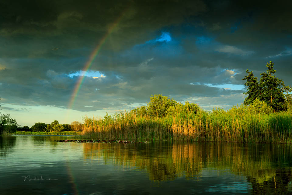 Nando rainbow after the rain