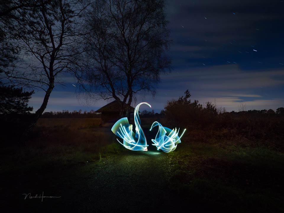 Nando nando light painting swans