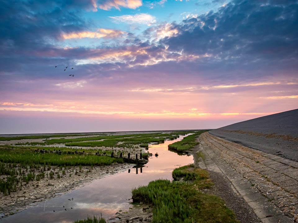 Nando Olympus E1M2 Wadden Sea Nando Olympus E1M2 Wadden Sea