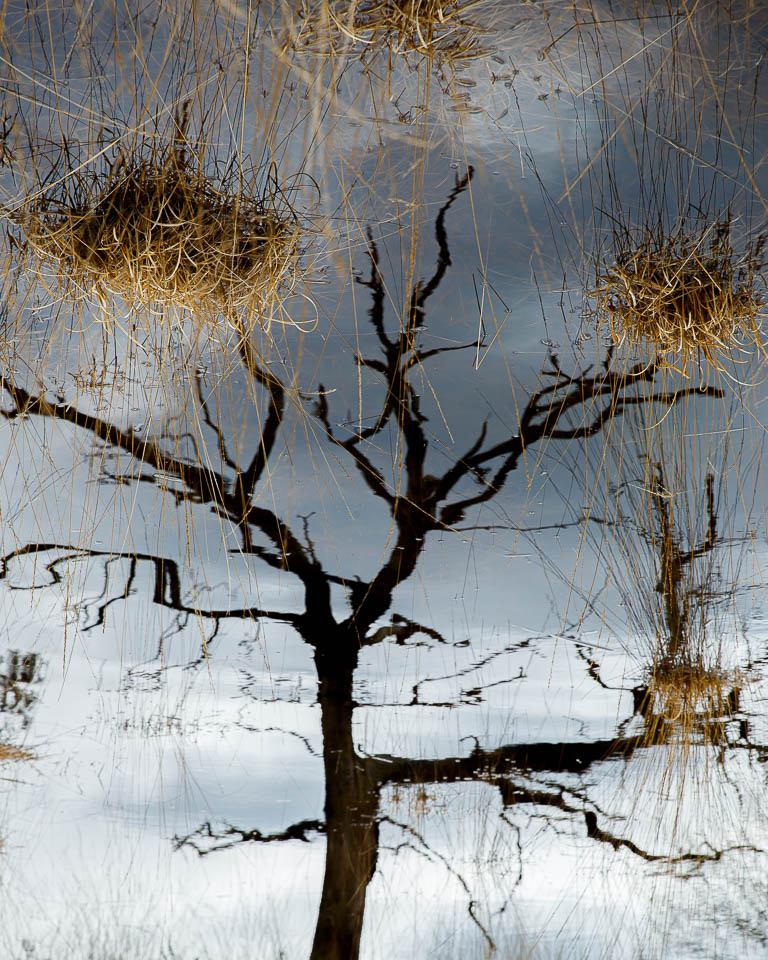 Nando upside-down world 2 Nando upside-down world 2