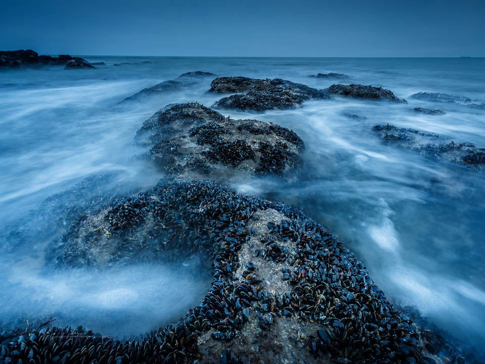 Nando Opal Coast 11