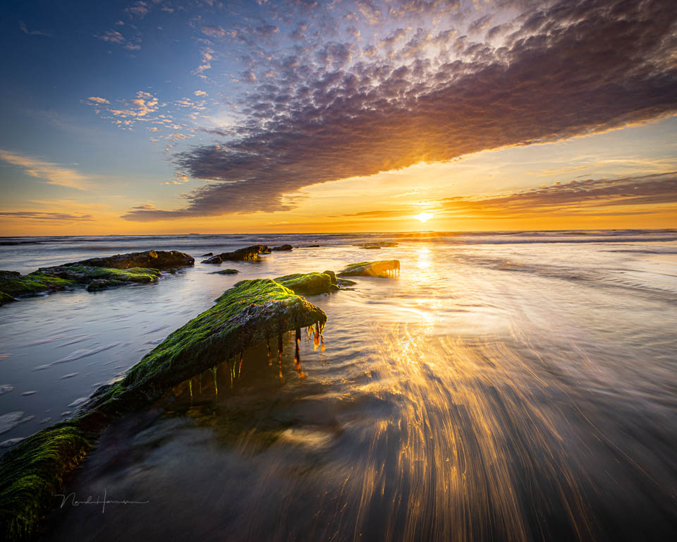 Nando Opal Coast 6