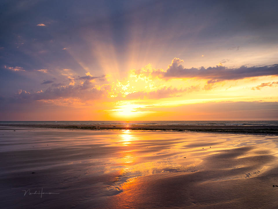 Nando Opal Coast