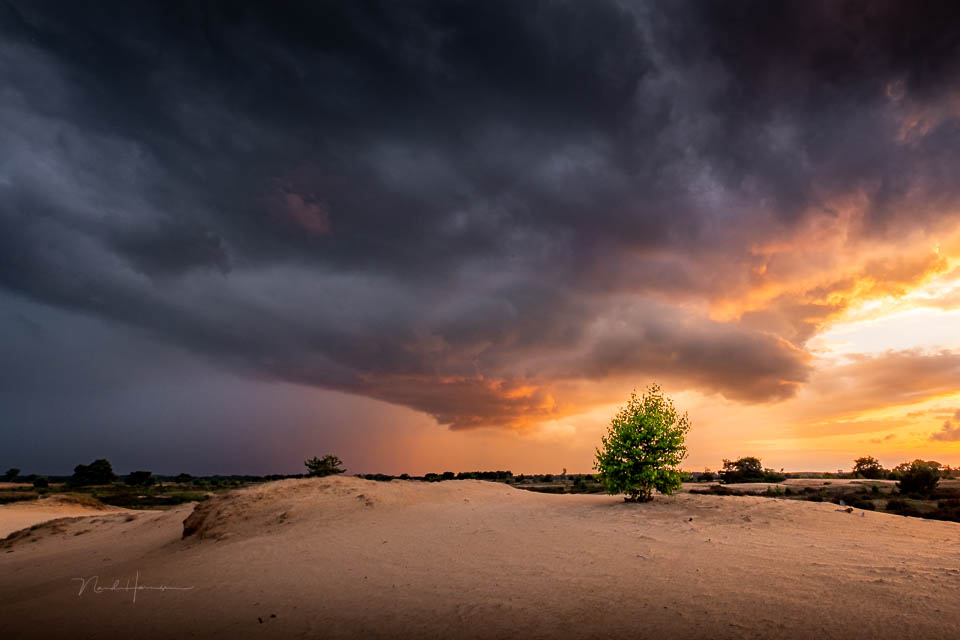 Nando rain clouds at sunset