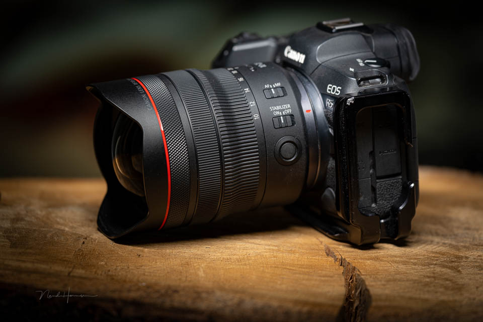 Nando review canon rf10 20l buttons Nando review canon rf10 20l buttons