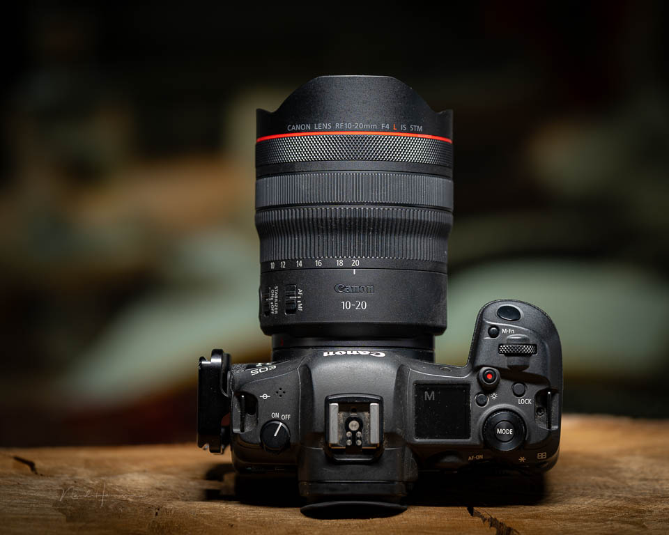 Nando review canon rf10 20l appearance Nando review canon rf10 20l appearance