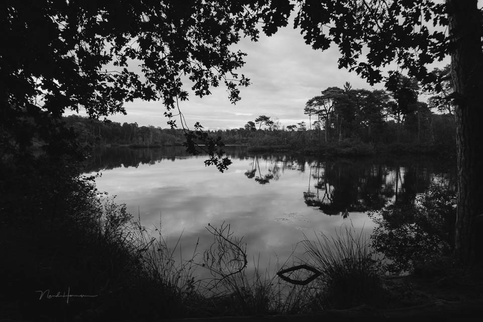 Nando review Fujifilm X-T50 18
