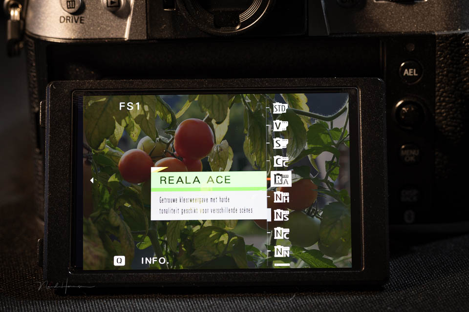 Nando review Fujifilm X-T50 33