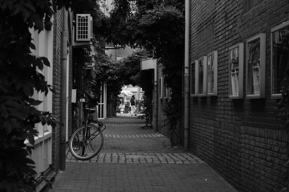 Nando review Fujifilm X-T50 47