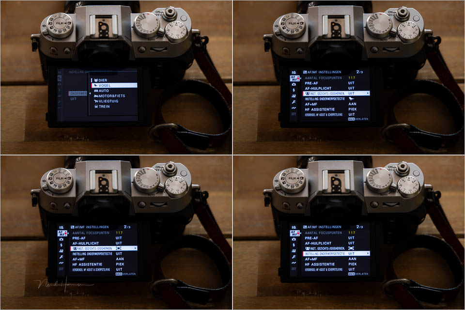 Nando review Fujifilm X-T50 48