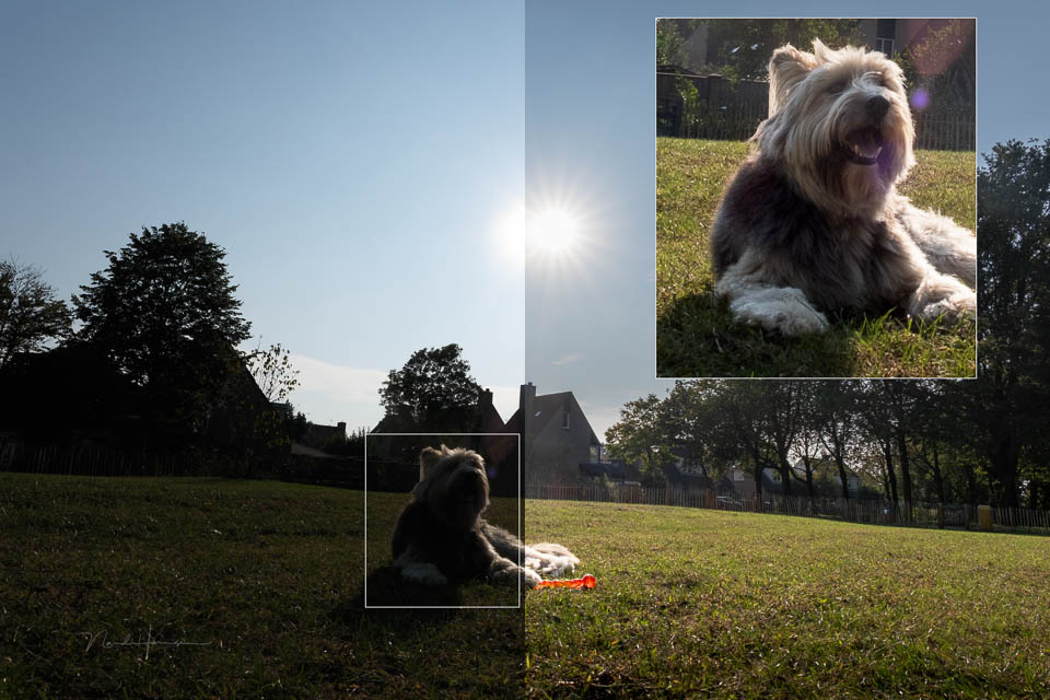 Nando review Fujifilm X-T50 50
