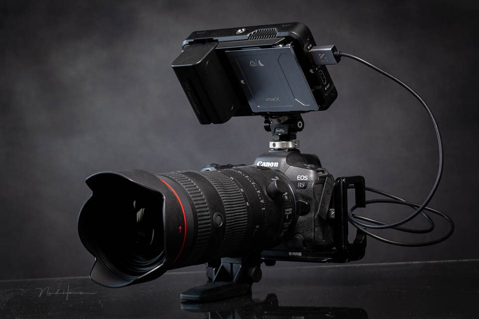 Nando RF 24 105mm28L review 7 Nando RF 24 105mm28L review 7