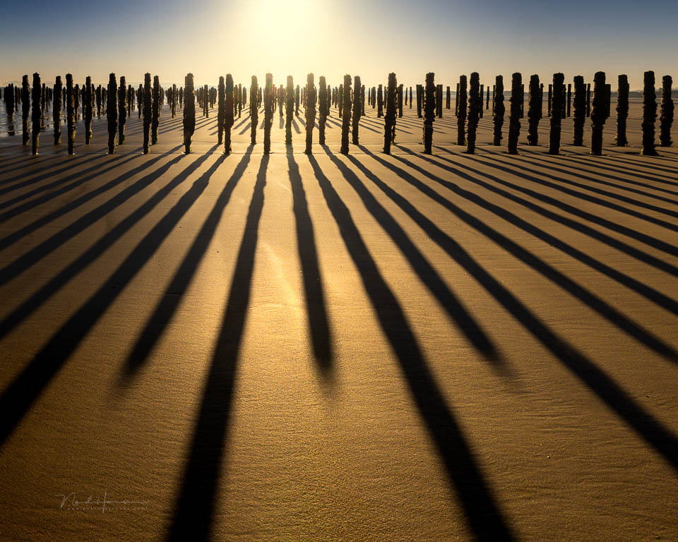 Nando shadows mussel poles Nando shadows mussel poles