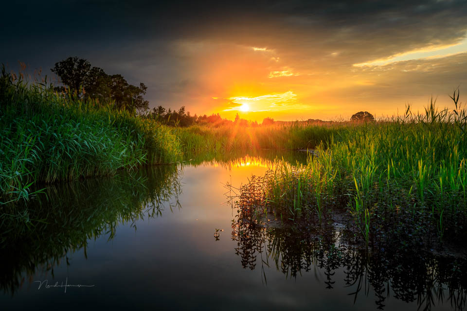 Nando spectacular sunset