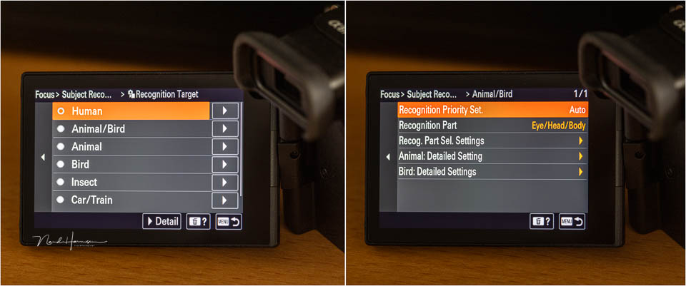 Nando sony a6700 AF menu Nando sony a6700 AF menu