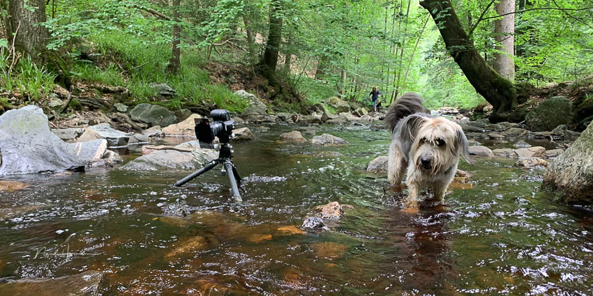 Nando tripod, water and Bruc Nando tripod, water and Bruc