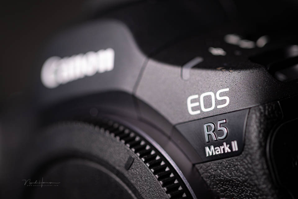 Nando disappointment Canon EOS R5M2 Nando disappointment Canon EOS R5M2