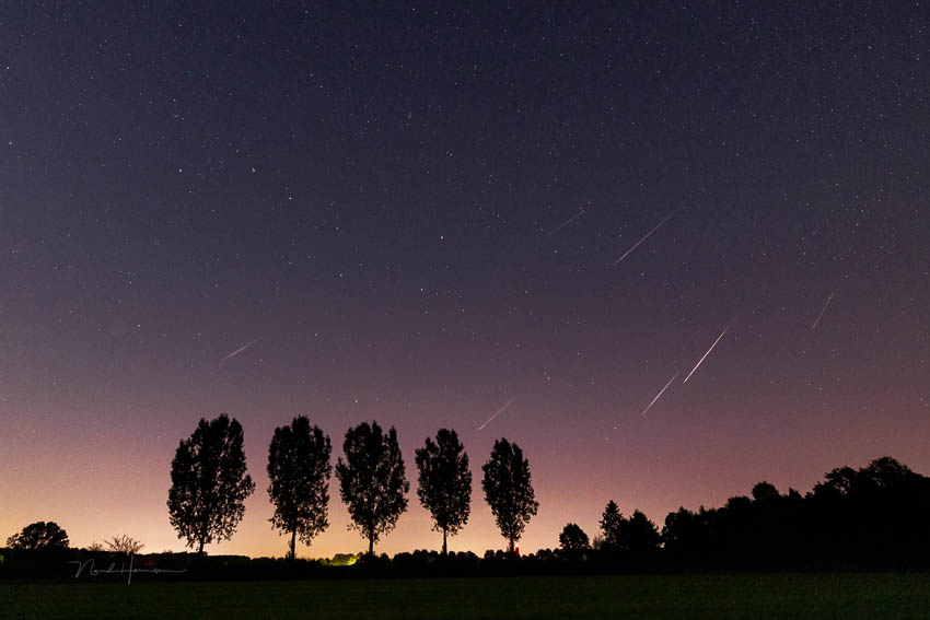 Nando five trees Perseids Nando five trees Perseids