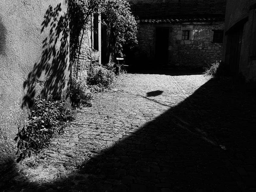 Nando black and white with black frame 2 Nando black and white with black frame 2