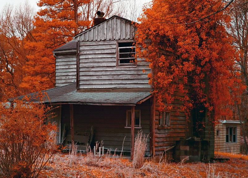 Neil Simms cabin IR Neil Simms cabin IR