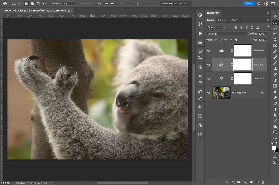 Photoshop for photos Photoshop for photos