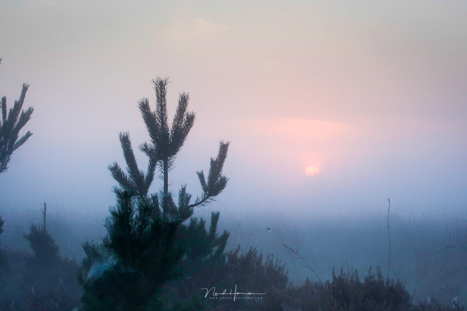 Disturbed sunrise