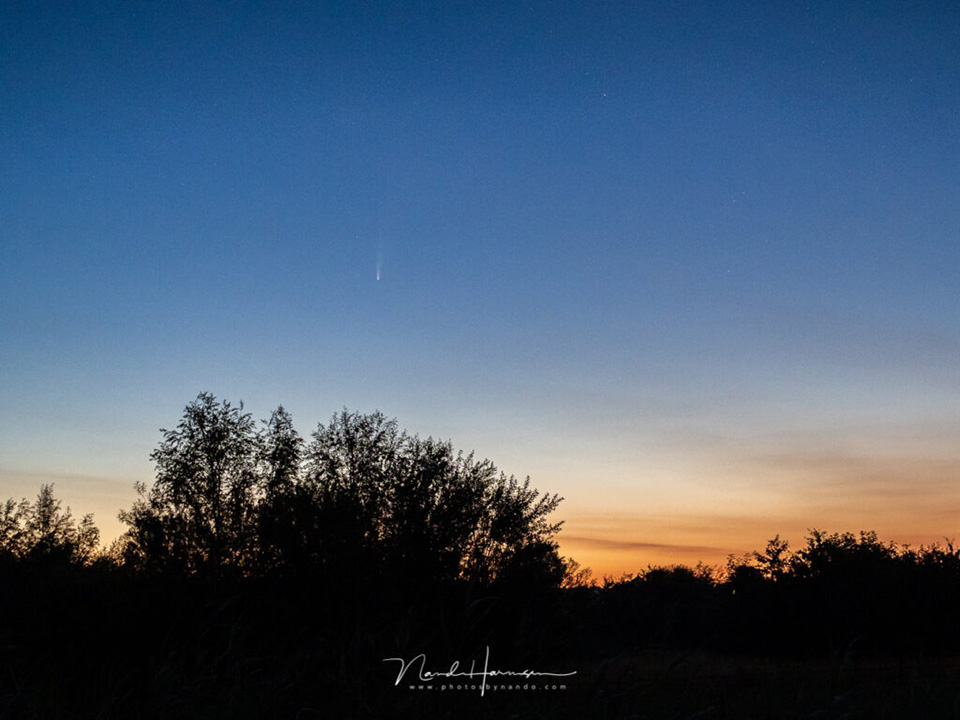 neowise in the morning twilight, one hour before sunrise neowise in the morning twilight, one hour before sunrise