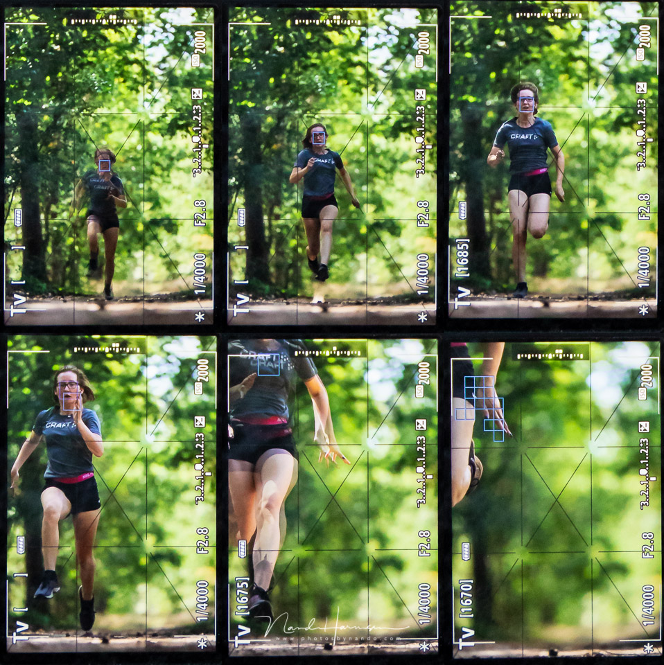 Screen images of the EOS 1Dx mark III during action Screen images of the EOS 1Dx mark III during action