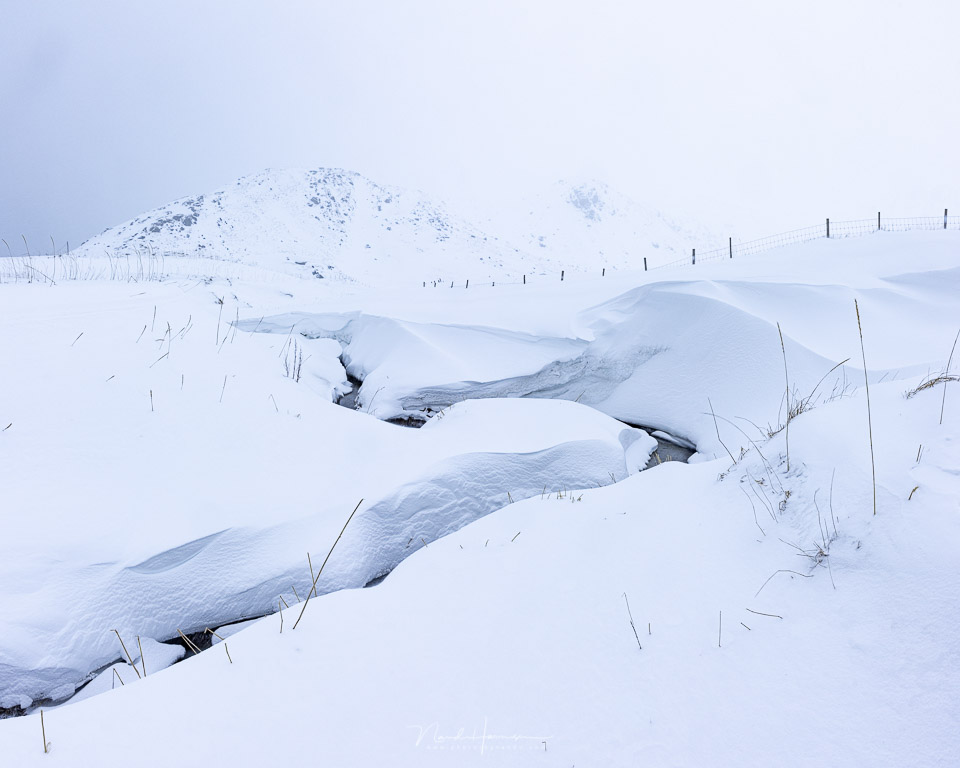 nando lofoten photography nando lofoten photography