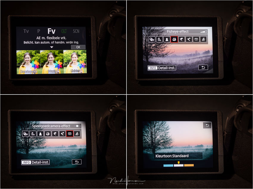 Sized NH20220816 151915 edited Sized NH20220816 151915 edited