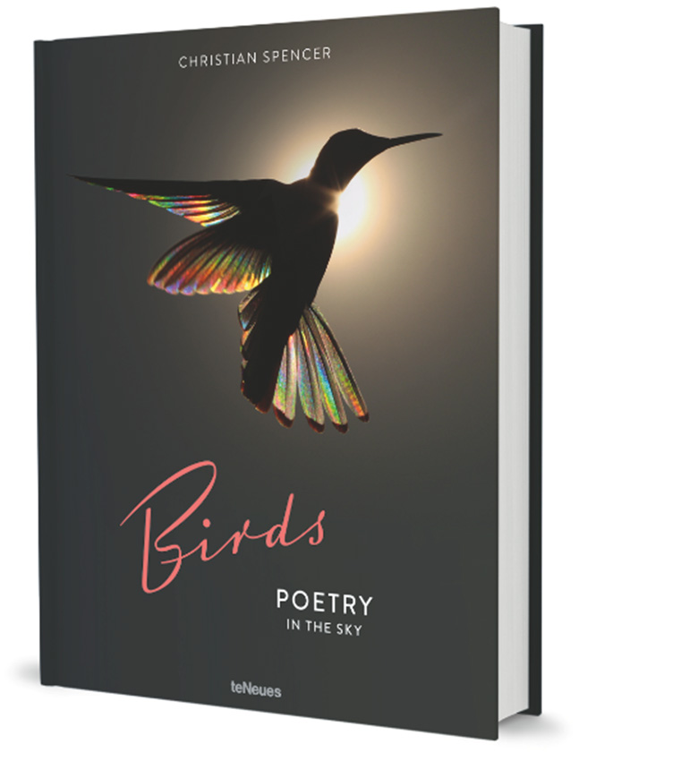 Spenser birds Spenser birds