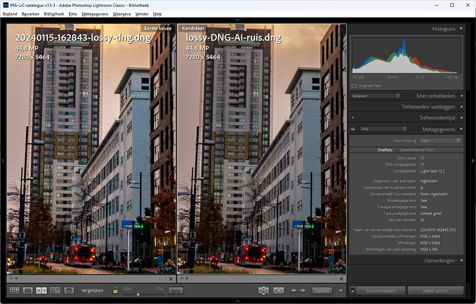 Compare lossy DNG AI noise reduction Compare lossy DNG AI noise reduction