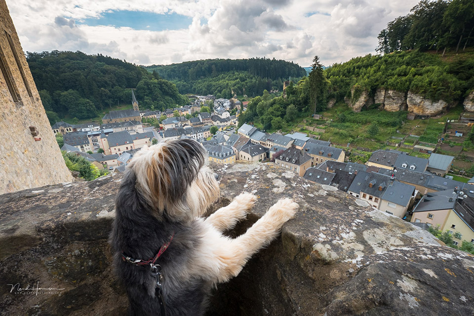 Web size NH20160714 103419