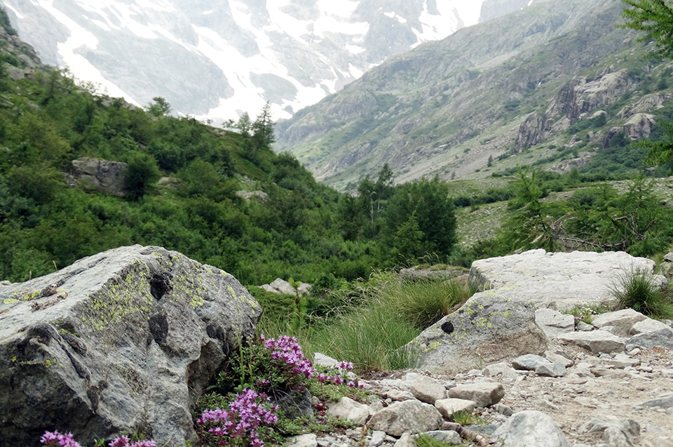 Take hiking poles Take hiking poles