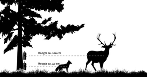 Determining the position and placing a trail camera Determining the position and placing a trail camera