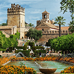 Top 5 cities where your camera is right at home Top 5 cities where your camera is right at home