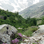 Nature photography tip: Take hiking poles on difficult terrain