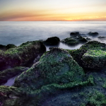 Nature photography tip: Play with shutter speed in the surf