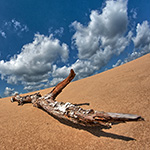 Nature photography tip: Protect your camera from overheating