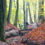 Nature photography tip: Discover unknown hilly areas