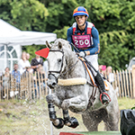 How to photograph a moving horse properly