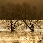 A telephoto lens isn't just for birds