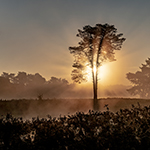 Photographing in fog