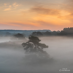 Fog on the Brunssummerheide