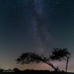 Night photography on Schiermonnikoog (part 2)