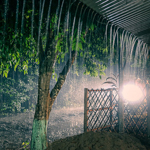 Try photographing in bad weather