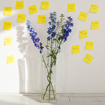 Who inspires you, and why?
