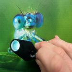 Tip: See the World Through a Magnifying Glass