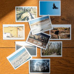 (Almost) All Your Photos Will Disappear