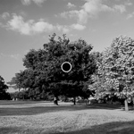 Optical illusion: seeing colour in a black-and-white photo